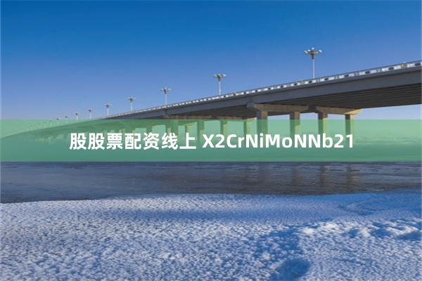 股股票配资线上 X2CrNiMoNNb21