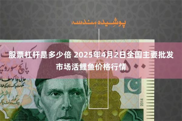 股票杠杆是多少倍 2025年4月2日全国主要批发市场活鲤鱼价格行情