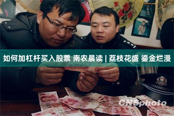 如何加杠杆买入股票 南农晨读 | 荔枝花盛 鎏金烂漫