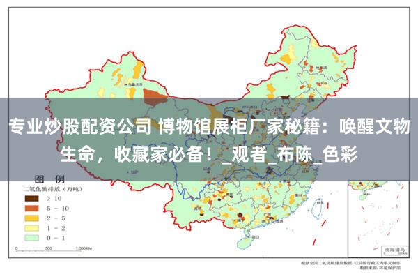 专业炒股配资公司 博物馆展柜厂家秘籍：唤醒文物生命，收藏家必备！_观者_布陈_色彩