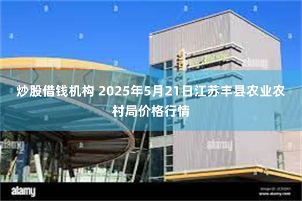 炒股借钱机构 2025年5月21日江苏丰县农业农村局价格行情