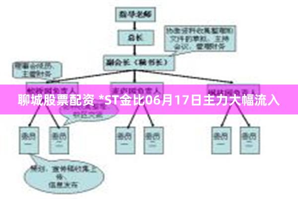 聊城股票配资 *ST金比06月17日主力大幅流入
