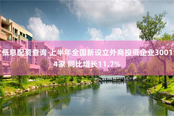 低息配资查询 上半年全国新设立外商投资企业30014家 同比增长11.7%
