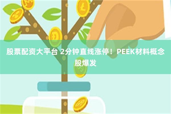 股票配资大平台 2分钟直线涨停！PEEK材料概念股爆发