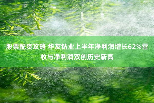 股票配资攻略 华友钴业上半年净利润增长62%营收与净利润双创历史新高
