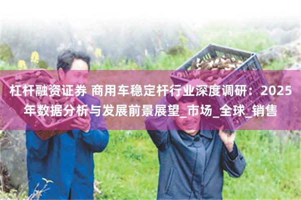 杠杆融资证券 商用车稳定杆行业深度调研：2025年数据分析与发展前景展望_市场_全球_销售