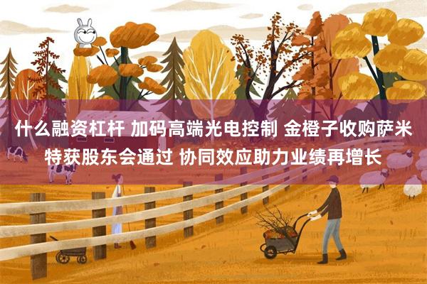 什么融资杠杆 加码高端光电控制 金橙子收购萨米特获股东会通过 协同效应助力业绩再增长